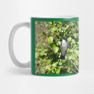 Eastern kingbird, wild birds, wildlife gifts Mug